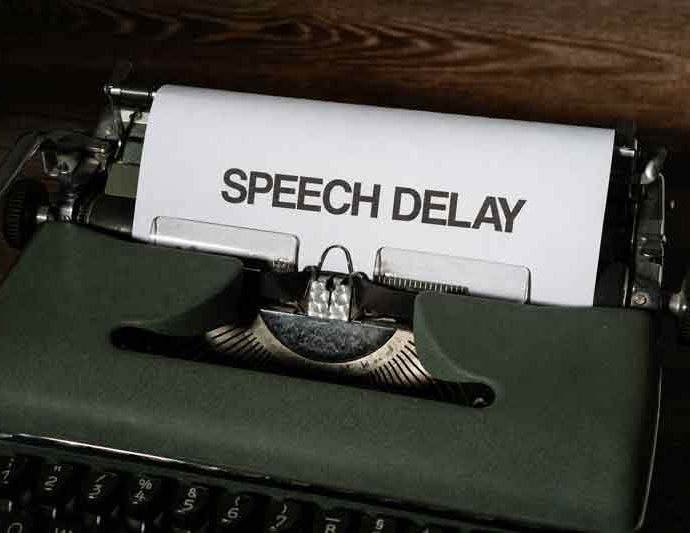 speech delay atau lambat bicara