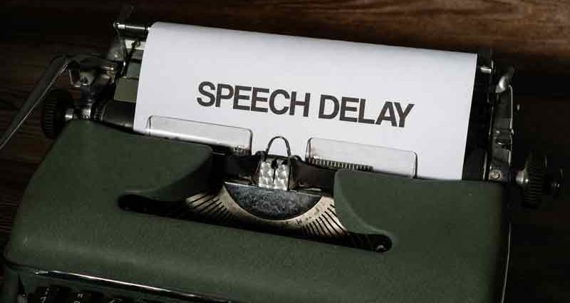 speech delay atau lambat bicara
